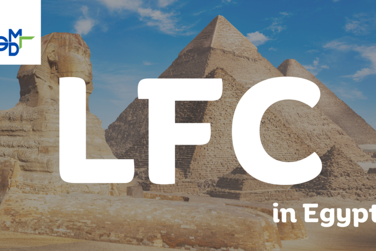 Lost Foam Casting in Egypt Lost Foam Casting in Egypt